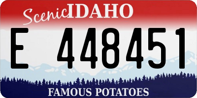 ID license plate E448451