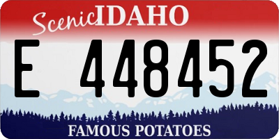 ID license plate E448452