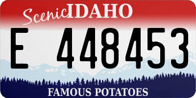 ID license plate E448453