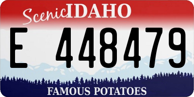 ID license plate E448479