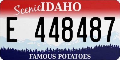 ID license plate E448487
