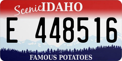ID license plate E448516