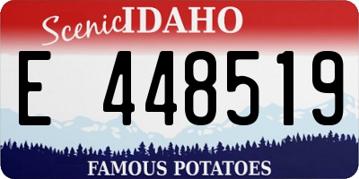 ID license plate E448519