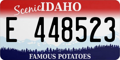 ID license plate E448523