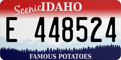 ID license plate E448524