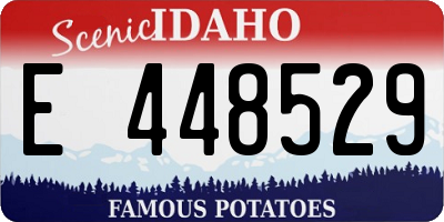 ID license plate E448529