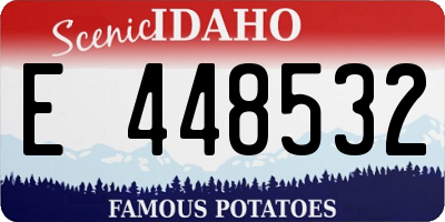 ID license plate E448532