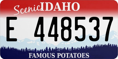 ID license plate E448537