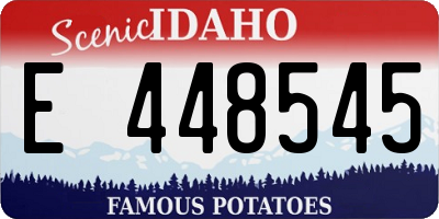 ID license plate E448545