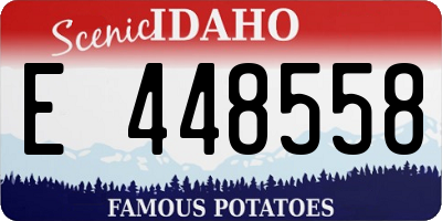 ID license plate E448558
