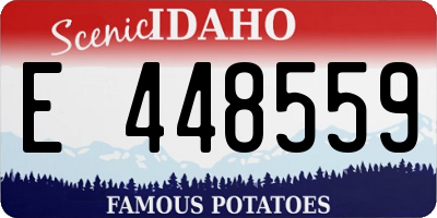 ID license plate E448559
