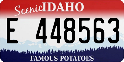 ID license plate E448563