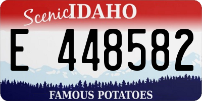 ID license plate E448582