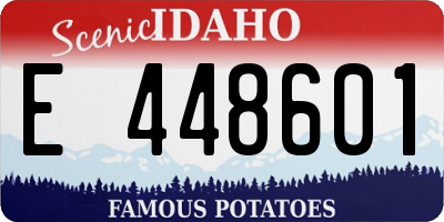 ID license plate E448601