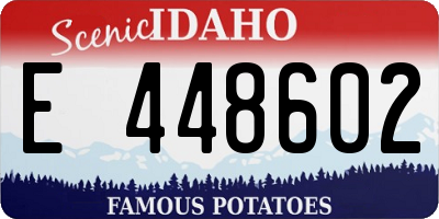 ID license plate E448602