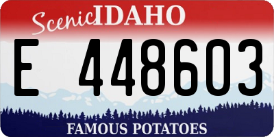 ID license plate E448603