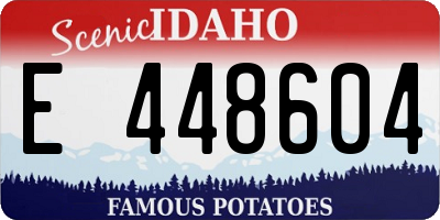 ID license plate E448604