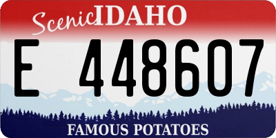 ID license plate E448607