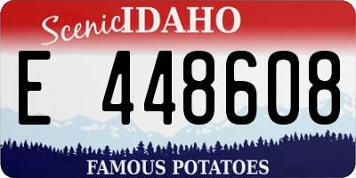 ID license plate E448608