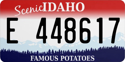 ID license plate E448617