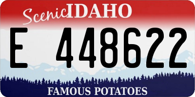 ID license plate E448622
