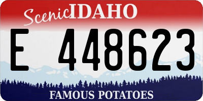 ID license plate E448623