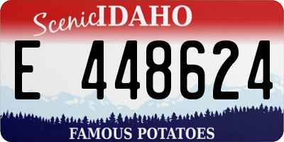 ID license plate E448624