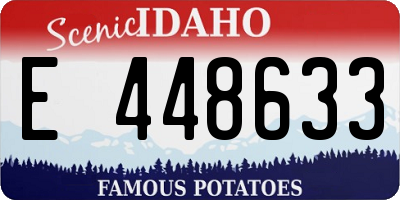 ID license plate E448633