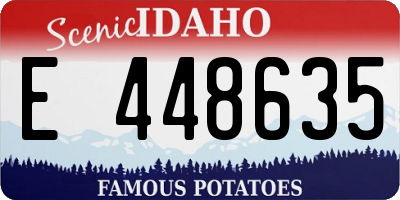ID license plate E448635