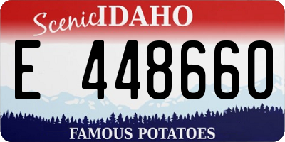 ID license plate E448660
