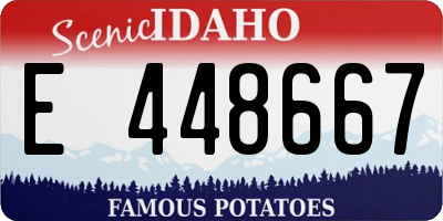 ID license plate E448667