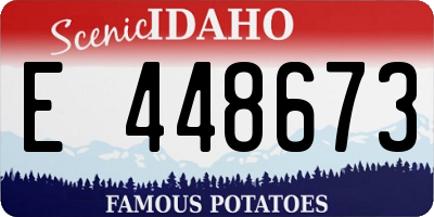 ID license plate E448673