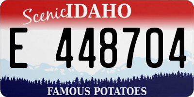 ID license plate E448704