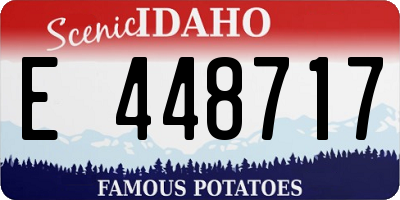 ID license plate E448717