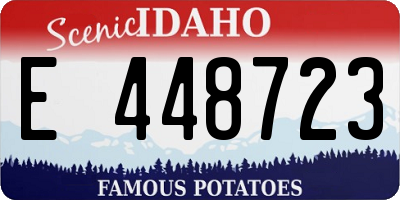 ID license plate E448723