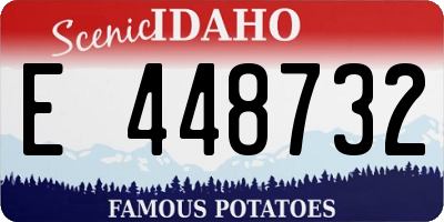 ID license plate E448732