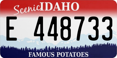 ID license plate E448733