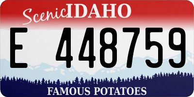 ID license plate E448759