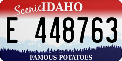 ID license plate E448763