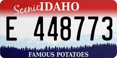 ID license plate E448773