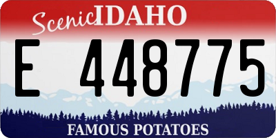 ID license plate E448775