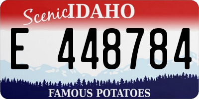 ID license plate E448784