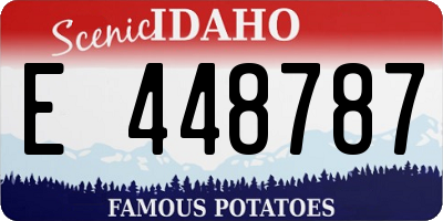 ID license plate E448787