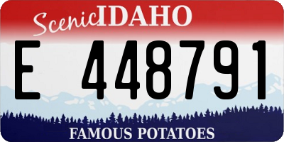 ID license plate E448791