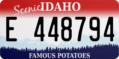 ID license plate E448794