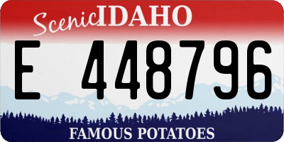 ID license plate E448796
