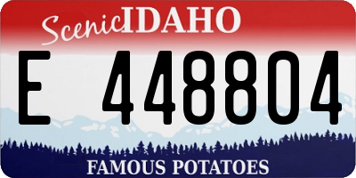 ID license plate E448804