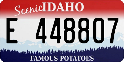 ID license plate E448807