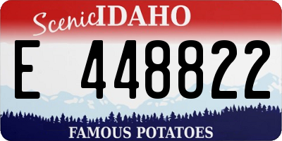 ID license plate E448822