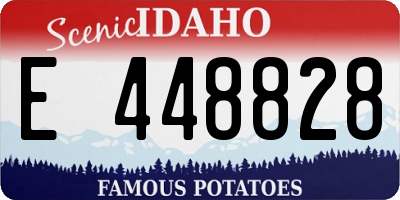 ID license plate E448828